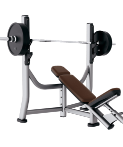 CYBEX OLYMPIC INCLINE BENCH – USED