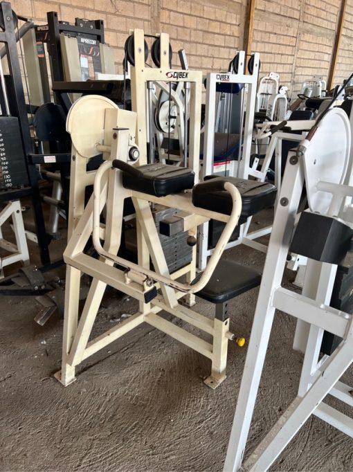 Used Cybex Classic Biceps Curl