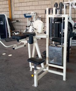 Used Cybex Classic Biceps Curl