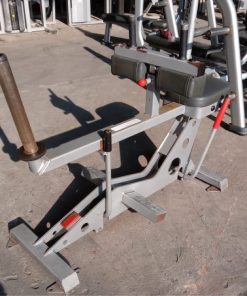 Star Trac Calf Raise