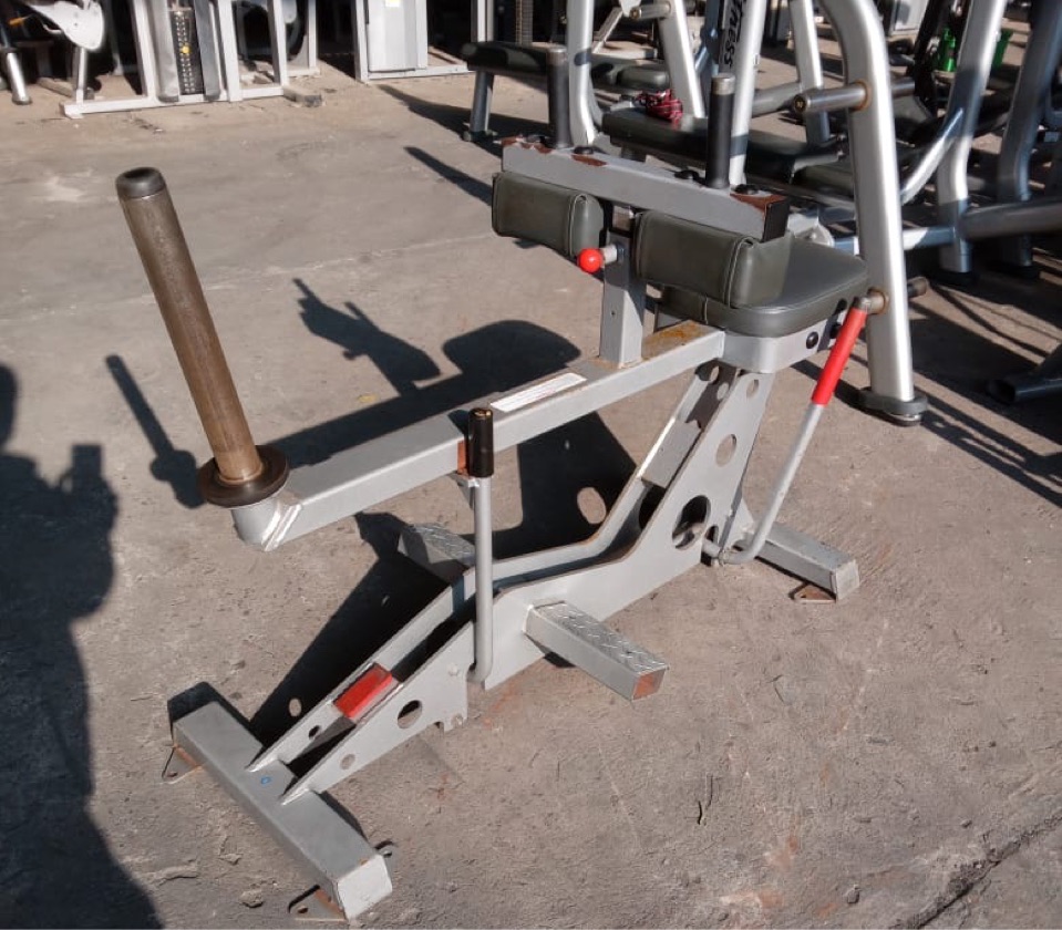 Star Trac Calf Raise