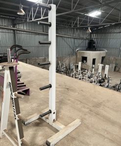 Used Body Master Disc Rack