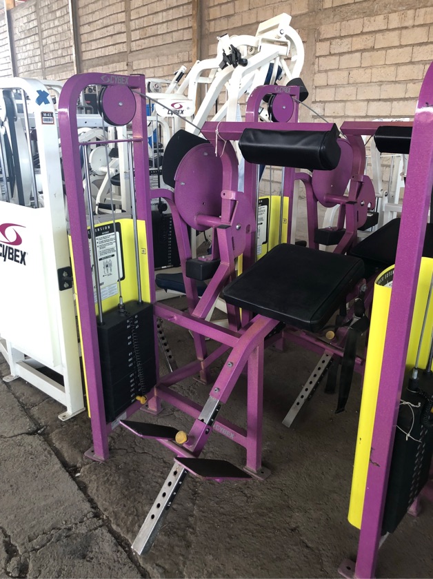 Used Cybex Back Extension