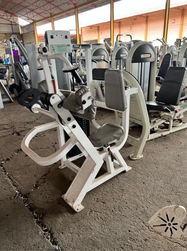 Used Flex Fitness Leg Curl