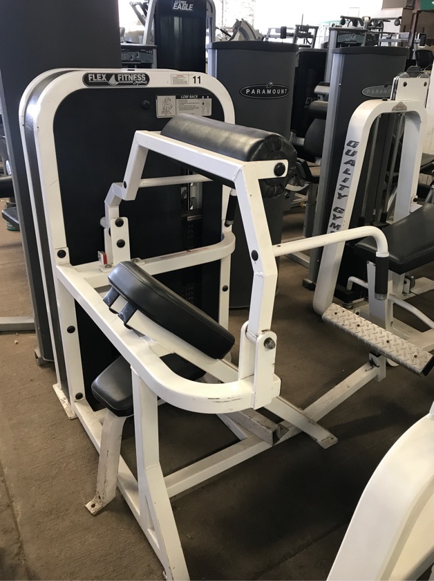Used Flex Fitness Low Back