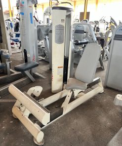 Used Freemotion Epic Calf Extension