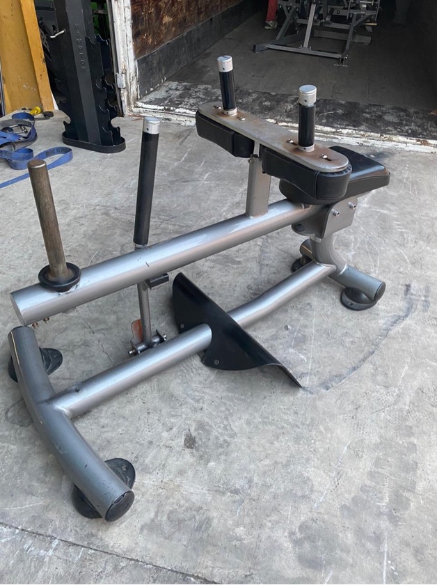 Used Matrix Seated Calf