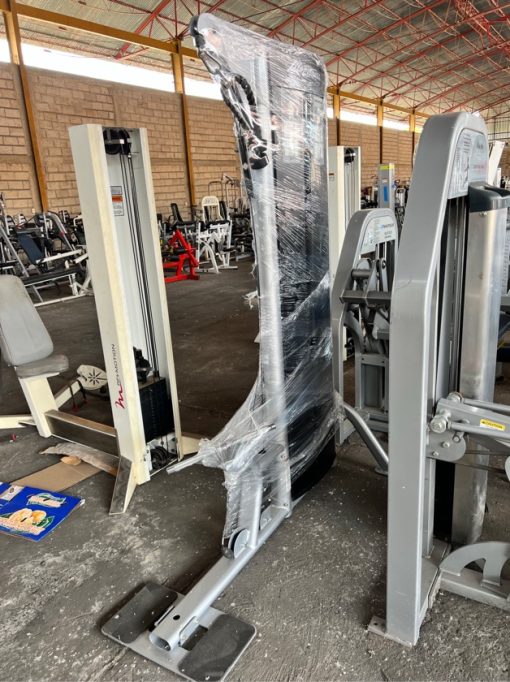 Life Fitness Bicep Curl/Tricep Pushdown